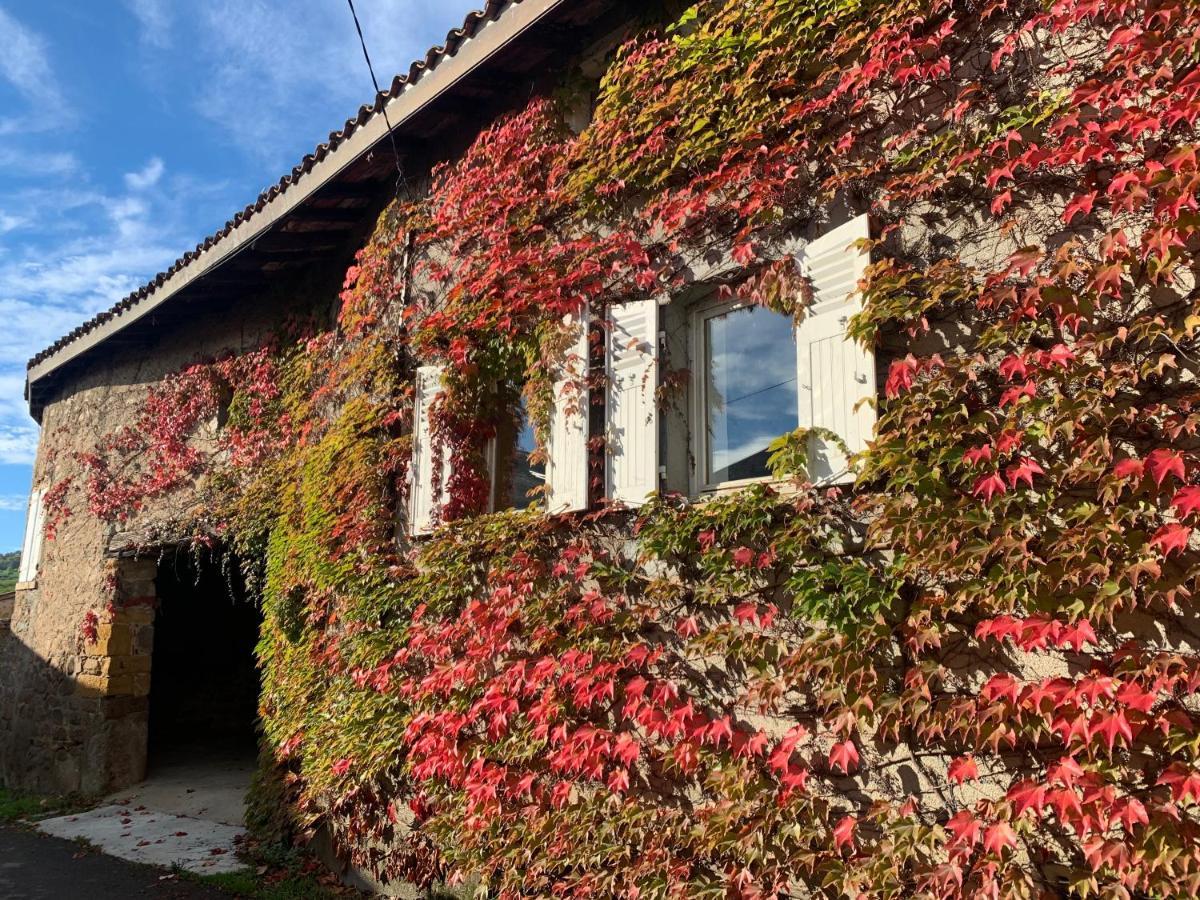 Le Gite De Buffetieres Saint-Romain-de-Popey Luaran gambar