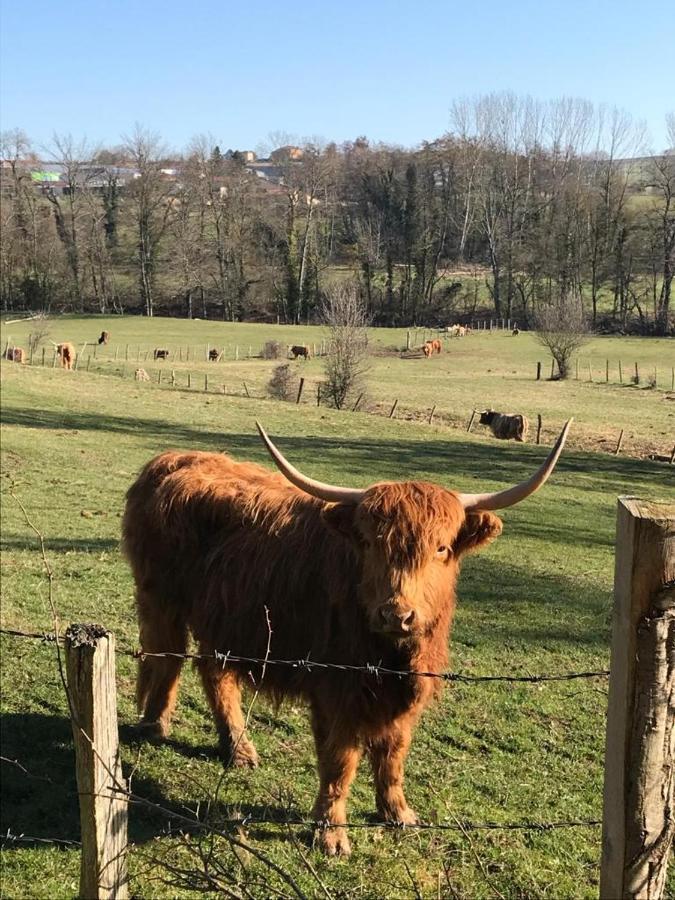 Le Gite De Buffetieres Saint-Romain-de-Popey Luaran gambar